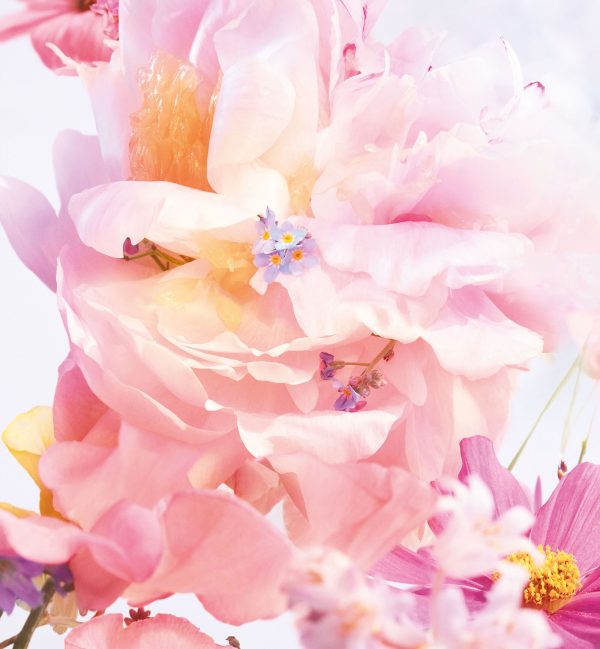 dior miss dior blooming bouquet |